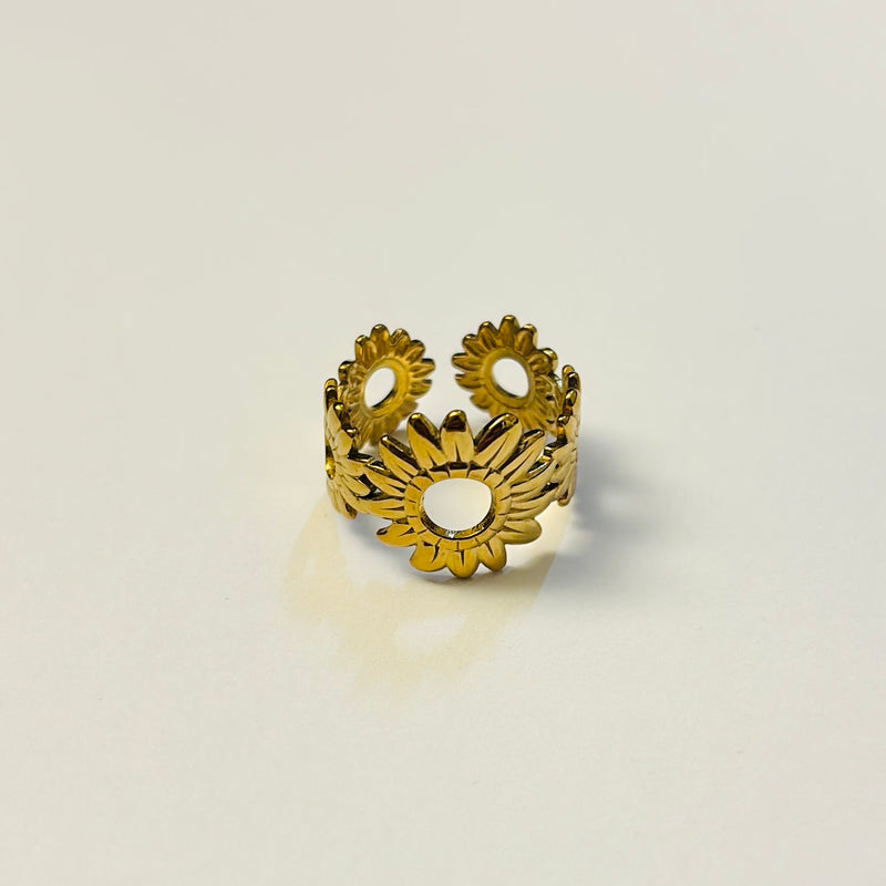 Bague Éclipse